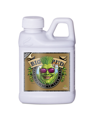 Big Bud Liquid Coco Advanced Nutrients 250ML