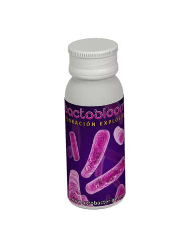 Bactobloom 10Gr - AGROBACTERIAS