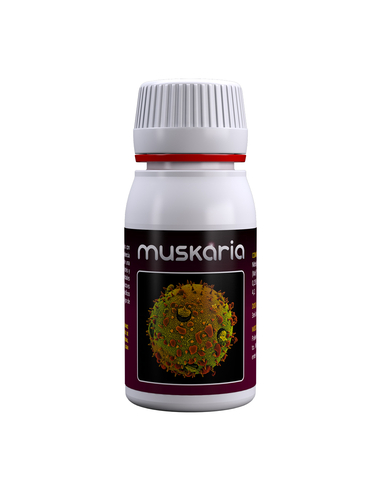 Muskaria 60 ml