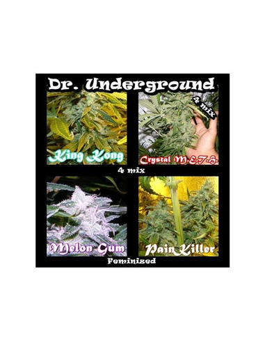 Killer Mix Feminizada Dr. Underground Seeds (4)