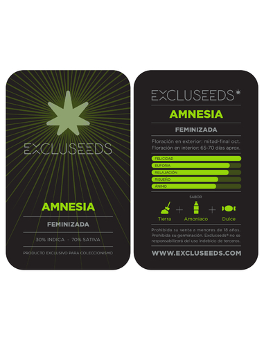 Amnesia Feminizada Excluseeds (1)
