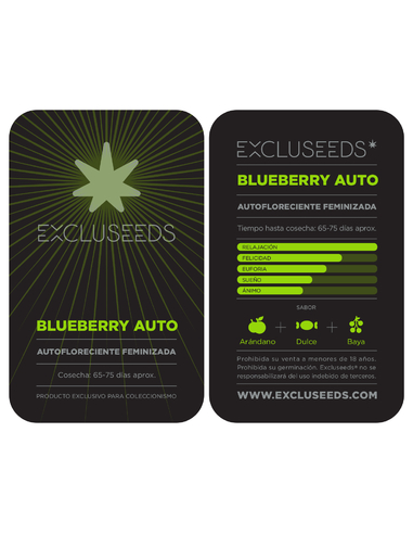 Blueberry Auto Feminizada Excluseeds (1)