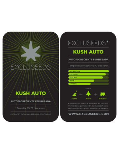 Kush Auto Nash Feminizada Excluseeds (1)
