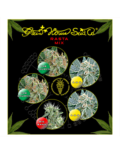 Rasta Mix 5 Feminizada Green House Seeds (5)