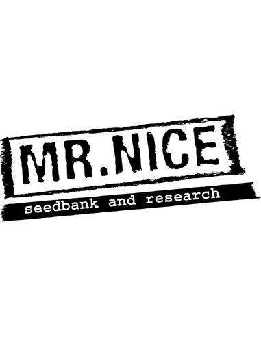 Black Widow Regular Mr Nice Seeds Bank (15)