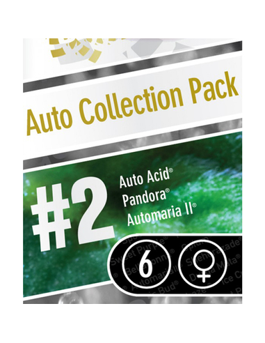 Auto Collection pack2 Paradise Seeds (6)