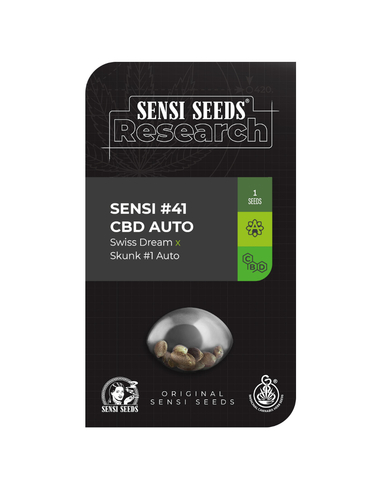 Sensi #41 Swiss Dream x Skunk#1 Auto CBD (1)