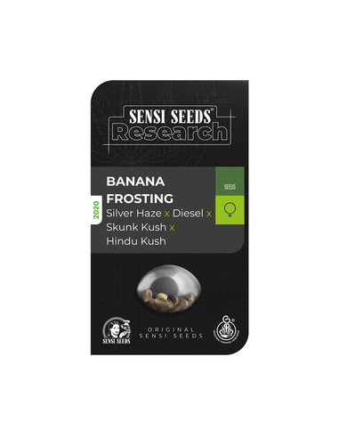 Banana Frosting Feminizada Sensi Seeds (5)