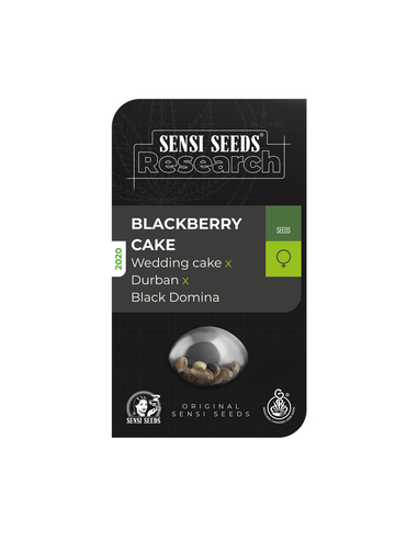 Blackberry cake Feminizada Sensi Seeds (5)