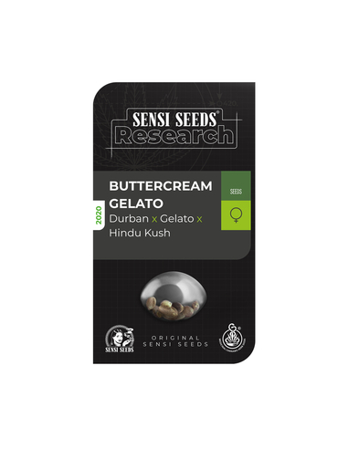 Buttercream Gelato Feminizada Sensi Seeds (5)