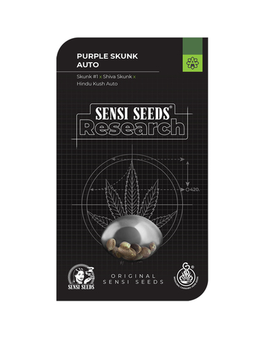 Purple Skunk Auto Sensi Seeds (5)