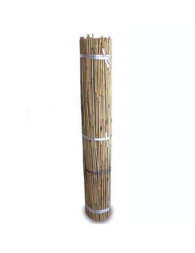 Tutores de Bambú 1,5m 300U