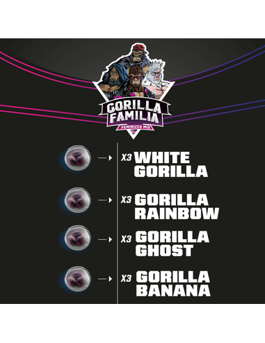 Gorilla Familia Mix Feminizada BSF Seeds (12)