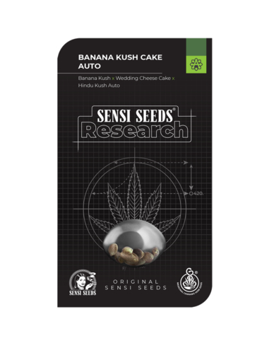 Banana Kush Cake Auto Sensi Seeds (5)