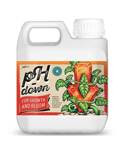 Xpert Nutrients Ph Down 1L 1L