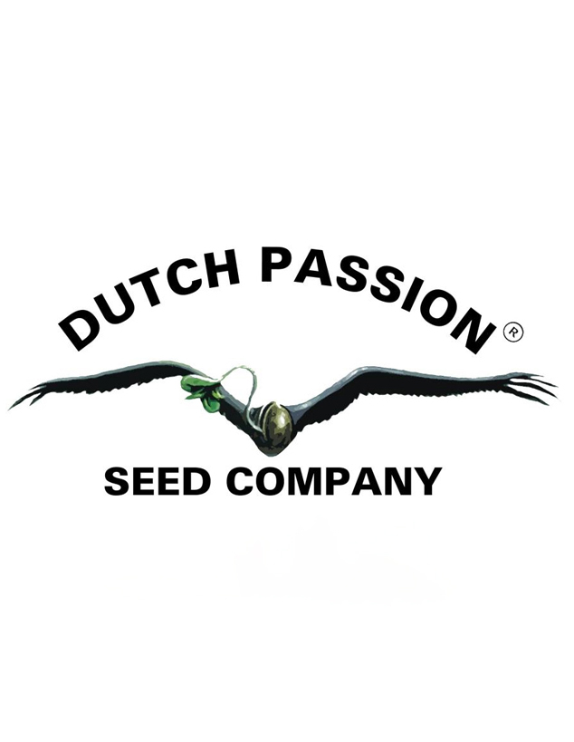 Dutch Passion