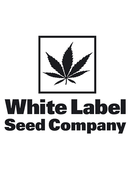 White Label Seeds